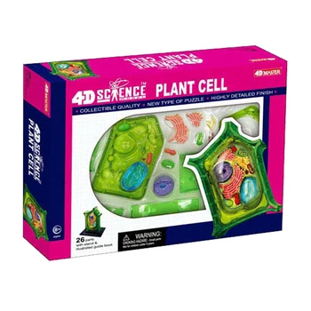 Rastlinska celica 4d master Sestavljanje puzzle igrača človeško telo organa anatomski model medicinski model poučevanja