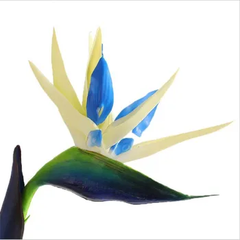 12 CM, Glavo/Length80CM Pravi Dotik Ponaredek Plastičnih Tropsko Ptico Raj Rože,Umetne Svile Dolgo Cvetje Doma Dekoracijo