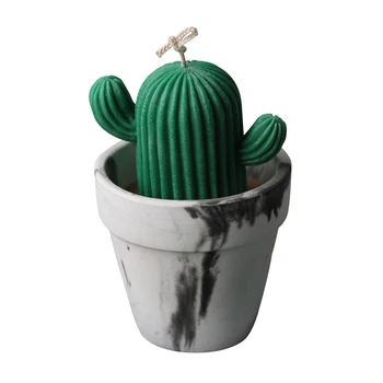 Kaktus sveča plesni Mavca Kaktus Dekoracijo Silikonsko Plesni Vonj Voska s Svečo Plesni