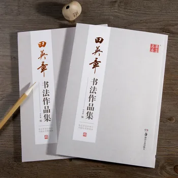 Otrok, Odraslih Krtačo Kaligrafija Prakse Pisanja Tian Yingzhang Rednih Scenarij Popolno Deluje Pisanje Knjig
