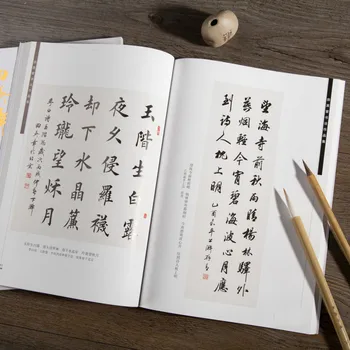 Otrok, Odraslih Krtačo Kaligrafija Prakse Pisanja Tian Yingzhang Rednih Scenarij Popolno Deluje Pisanje Knjig