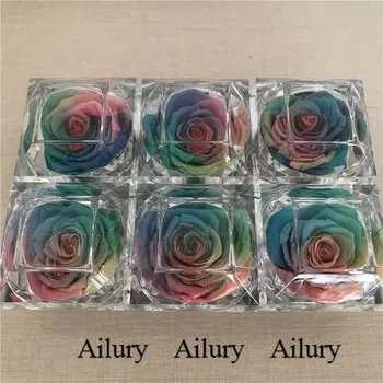 4 cm majhen dar, konzervirane rainbow barva rose,sveže naravne cvet,luštna prisotna,Akril obroč polje za poroko