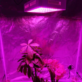 LED Grow Light 1000W Celoten Spekter Rastlin Svetilke za Notranjo Toplogrednih Rastejo Šotor Rastlin Sejanje Cvetenja Raste Rasti Lučka