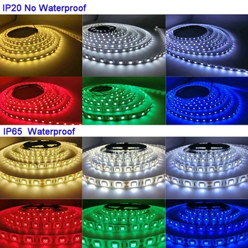 LED trak 5050 DC12V neon fleksibilni RGB LED svetloba bela/topla bela/rdeča/roza/UV/RGBW/RGBWW za dom in oglasni dekoracijo