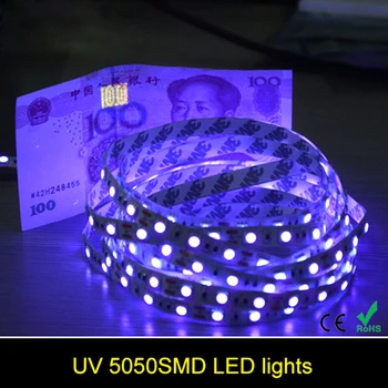 LED trak 5050 DC12V neon fleksibilni RGB LED svetloba bela/topla bela/rdeča/roza/UV/RGBW/RGBWW za dom in oglasni dekoracijo