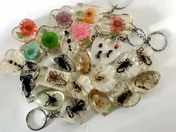 Prodajo 12 kos mešani moda insektov cvet slog keychain