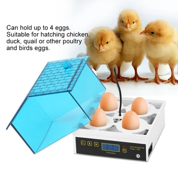 Nove Poceni Cene, Kitajska Digitalni Temperature Majhne Brooder 4 Mini Valilnica Jajce Inkubator Hatcher za Piščanca Raca Ptica Raca Prepelice