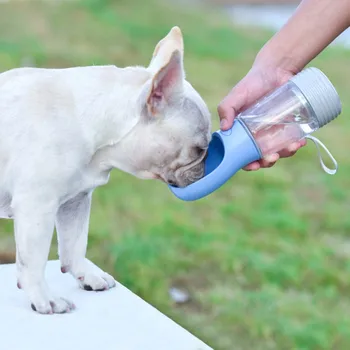 Hišni Pes Zunanji Prenosni Pijem Vodo Pokal Bela