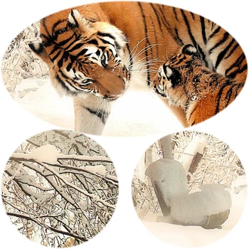 Živali Plakatov in Fotografij Wall Art Platno Slikarstvo Cvetje Dve Tigri v Snegu Slike za Dnevni Sobi Doma Dekor Brez Okvirja