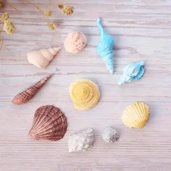 Conch Lupini Morju silikonski ocean plesni fondat plesni torta dekoraterstvo orodja čokolada gumpaste plesni