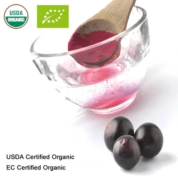 Oddelek za kmetijstvo in ES Certified Organic Acai Berry Sok v Prahu
